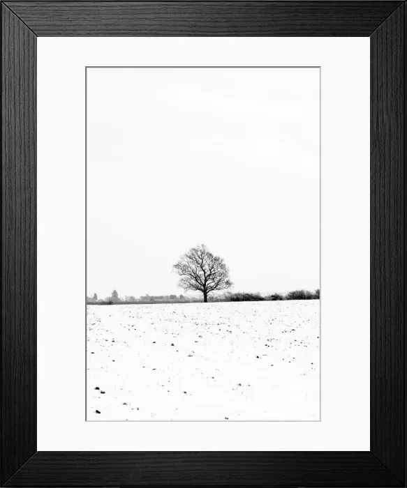 Framed Print : UK, England, Cambridgeshire, Comberton, Winter Fields