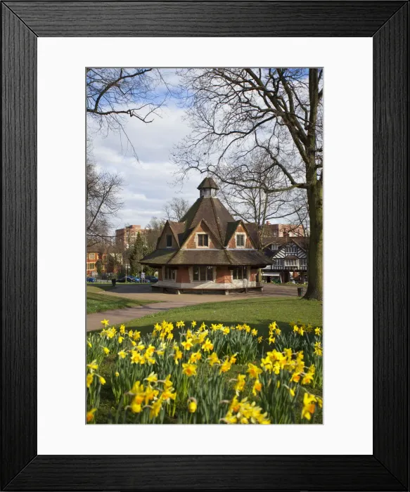 Framed Print : UK, England, West Midlands, Birmingham, Bournville, Daffodils on Bournville Village