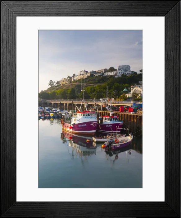 Framed Print : UK, England, Devon, Torbay, Torquay, Torquay Harbour Framed Print : UK, England, Devon, Torbay, Torquay, Torquay Harbour