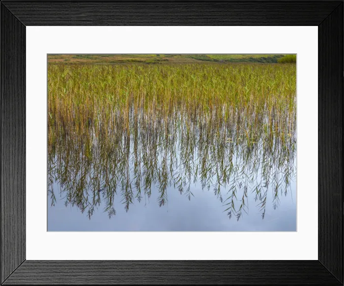 Framed Print : UK, Scotland, Argyll and Bute, Islay, Loch Finlaggan, centre of the Lordship of the Isles Framed Print : UK, Scotland, Argyll and Bute, Islay, Loch Finlaggan, centre of the Lordship of the Isles