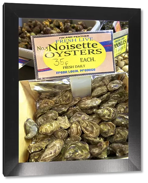 Noisette Oysters, Jersey, Channel Islands