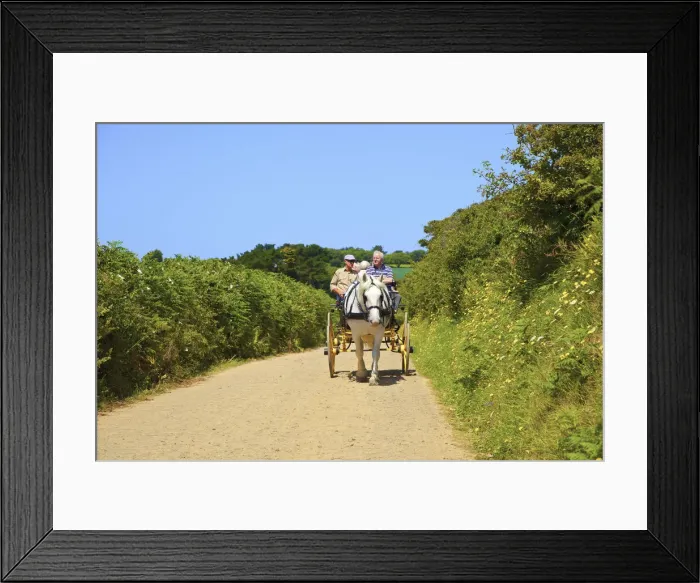 Framed Print : Horse Drawn Carriage, Sark, Channel Islands, United Kingdom Framed Print : Horse Drawn Carriage, Sark, Channel Islands, United Kingdom