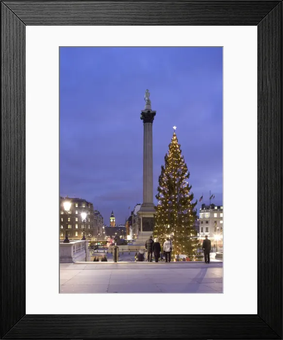 Framed Print : Trafalgar Square at Christmas, London, England Framed Print : Trafalgar Square at Christmas, London, England