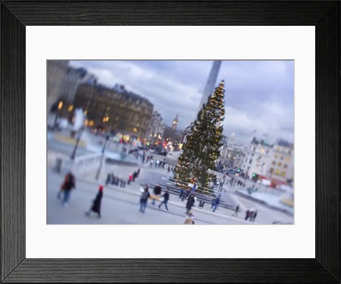 Framed Print : Trafalgar Square at Christmas, London, England Framed Print : Trafalgar Square at Christmas, London, England