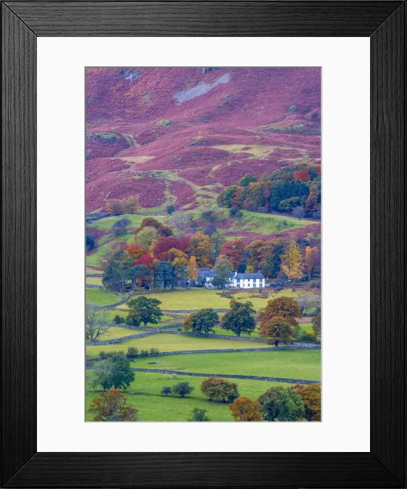 Framed Print : UK, England, Cumbria, Lake District, Borrowdale on south bank of Derwentwater Framed Print : UK, England, Cumbria, Lake District, Borrowdale on south bank of Derwentwater