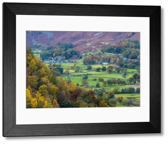 Framed Print : UK, England, Cumbria, Lake District, Borrowdale on south bank of Derwentwater Framed Print : UK, England, Cumbria, Lake District, Borrowdale on south bank of Derwentwater
