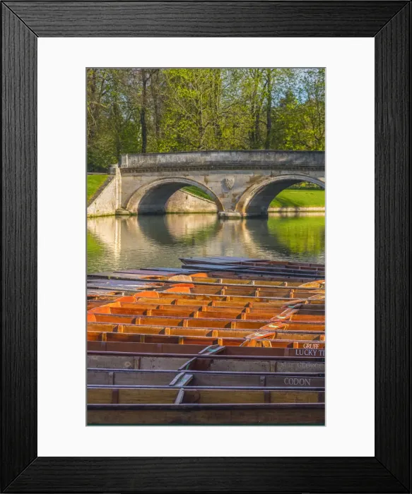 Framed Print : UK, England, Cambridgeshire, Cambridge, The Backs, River Cam Framed Print : UK, England, Cambridgeshire, Cambridge, The Backs, River Cam