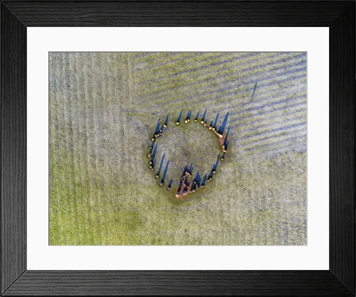 Framed Print : UK, Cumbria, Lake District, Castlerigg Stone Circle Framed Print : UK, Cumbria, Lake District, Castlerigg Stone Circle