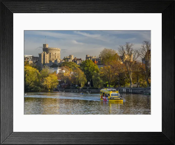 Framed Print : UK, England, Berkshire, Windsor, Windsor Castle from River Thames, Windsor Duck amphibious Framed Print : UK, England, Berkshire, Windsor, Windsor Castle from River Thames, Windsor Duck amphibious