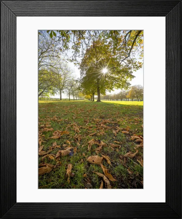 Framed Print : UK, England, Berkshire, Windsor, Windsor Castle, The Long Walk Framed Print : UK, England, Berkshire, Windsor, Windsor Castle, The Long Walk