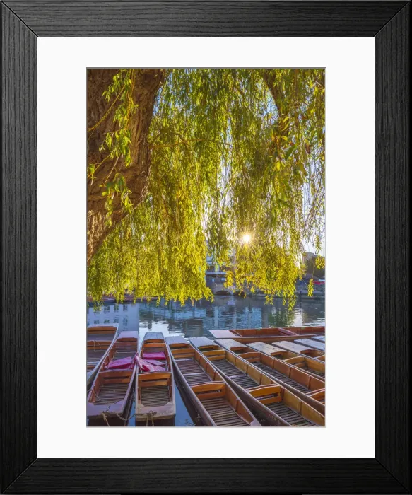 Framed Print : UK, England, Cambridge, The Mill Pond, Punts Framed Print : UK, England, Cambridge, The Mill Pond, Punts