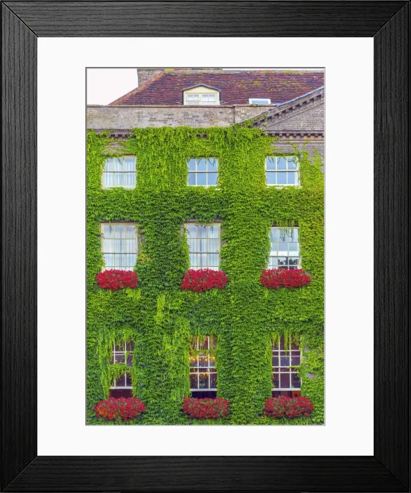 Framed Print : UK, England, Suffolk, Bury Saint Edmunds, Angel Hill, The Angel Hotel Framed Print : UK, England, Suffolk, Bury Saint Edmunds, Angel Hill, The Angel Hotel