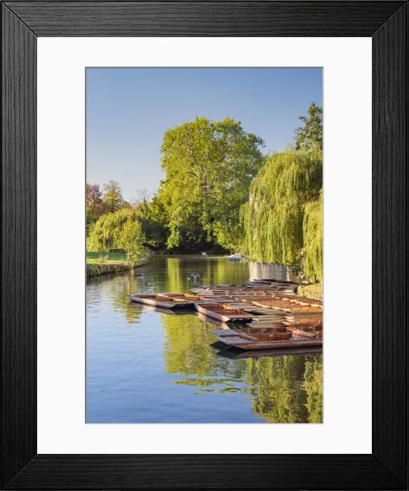 Framed Print : UK, England, Cambridge, River Cam, The Mill Pond, Punts Framed Print : UK, England, Cambridge, River Cam, The Mill Pond, Punts