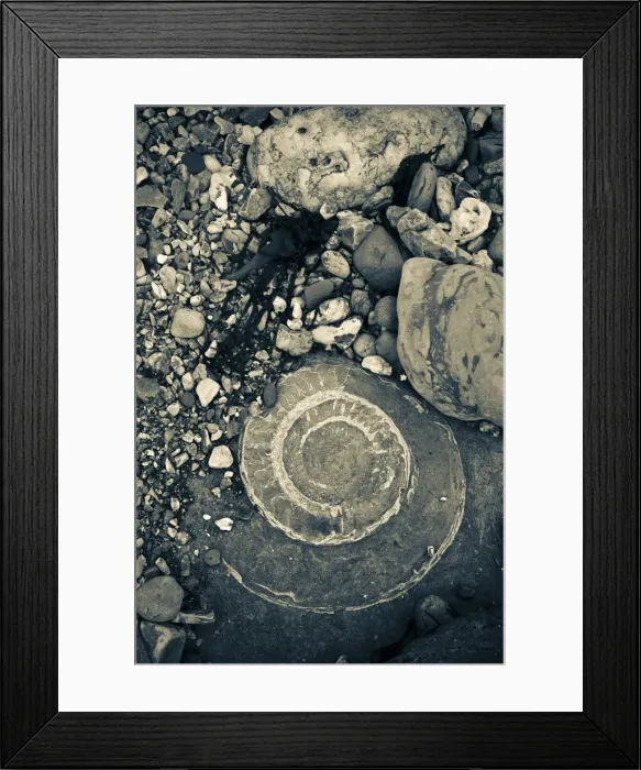 Framed Print : UK, England, Dorset, Lyme Regis, a Gateway Town to the UNESCO World Heritage Site