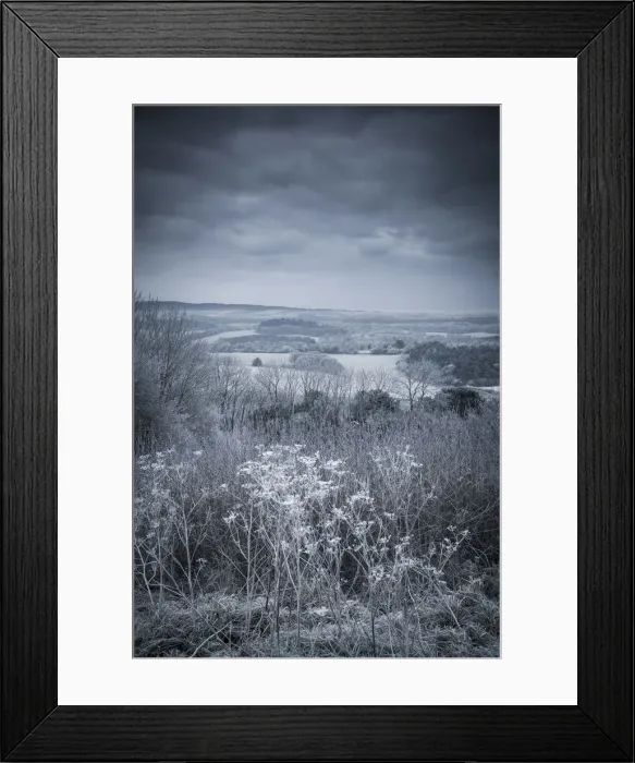 Framed Print : North Downs, Surrey, England, UK Framed Print : North Downs, Surrey, England, UK