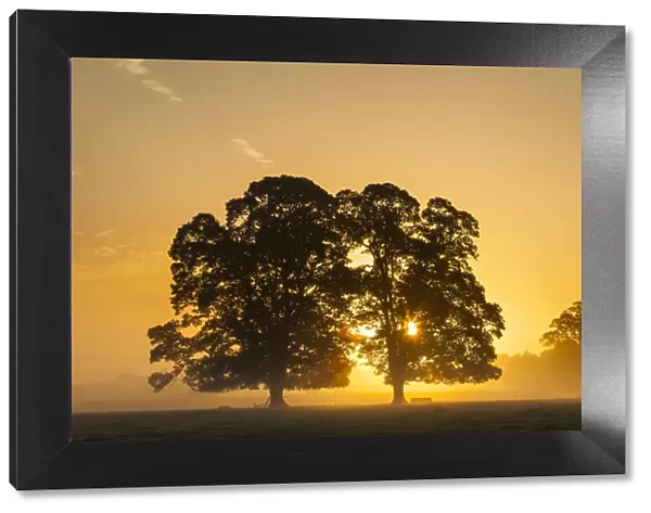 Sunrise, Usk Valley, South Wales, UK