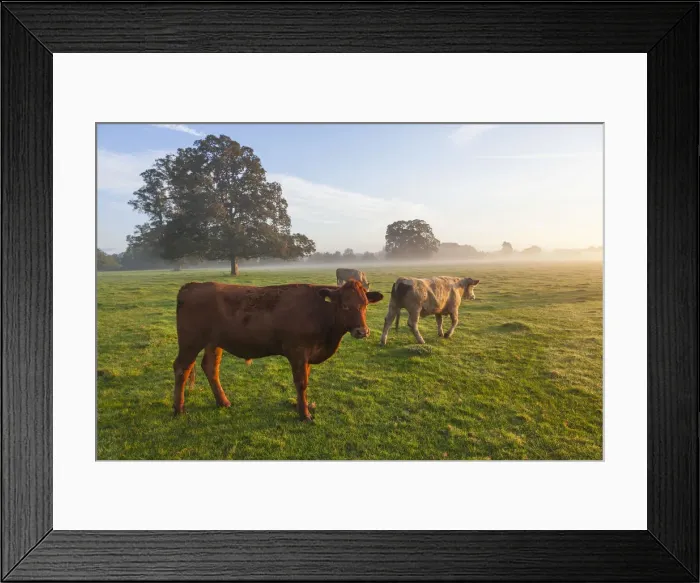 Framed Print : Sunrise, Usk Valley, South Wales, UK Framed Print : Sunrise, Usk Valley, South Wales, UK