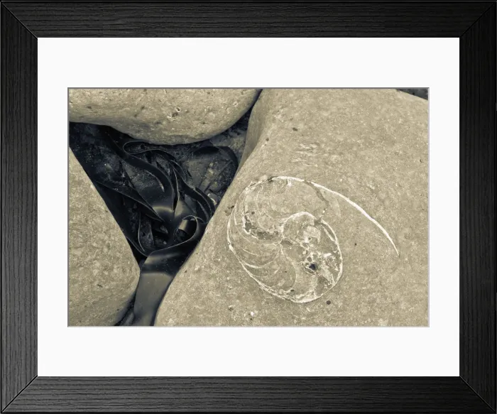 Framed Print : UK, England, Dorset, Lyme Regis, a Gateway Town to the UNESCO World Heritage Site