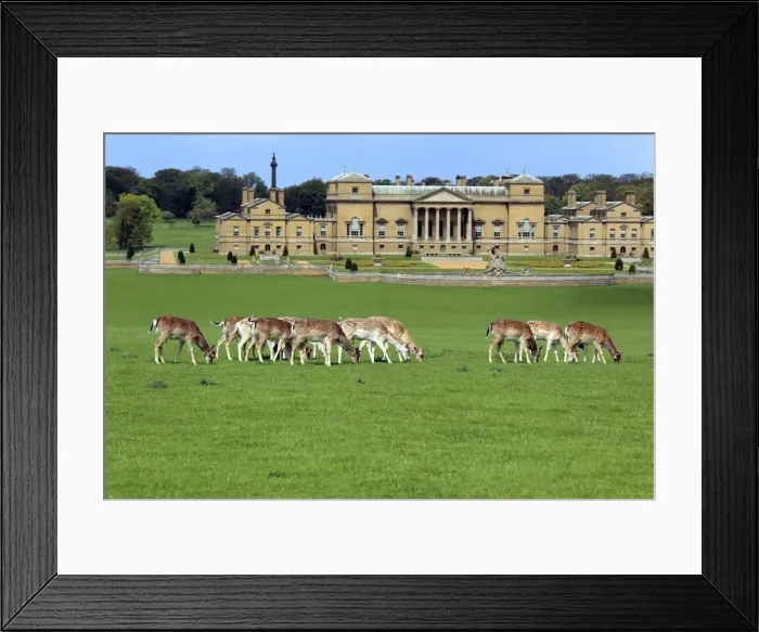 Framed Print : Holkham Hall, Norfolk, England, UK