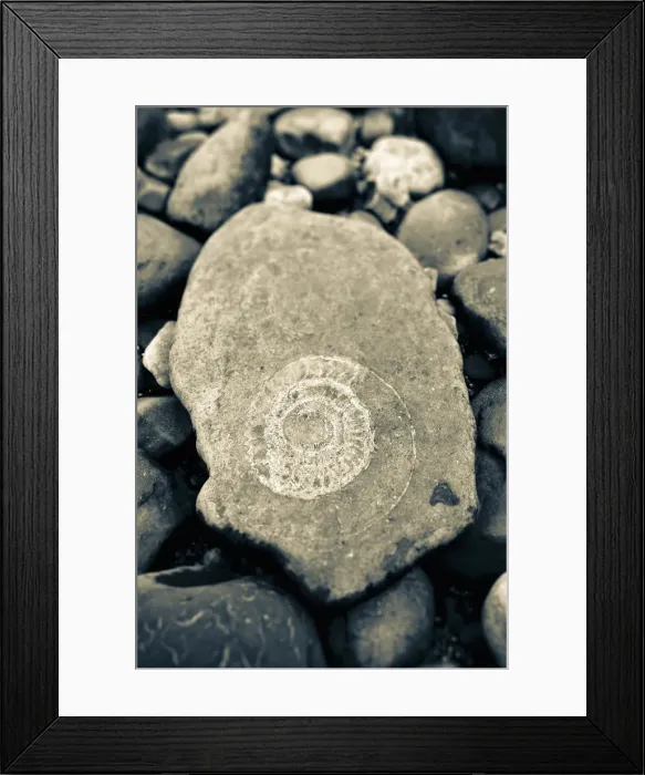 Framed Print : UK, England, Dorset, Lyme Regis, a Gateway Town to the UNESCO World Heritage Site