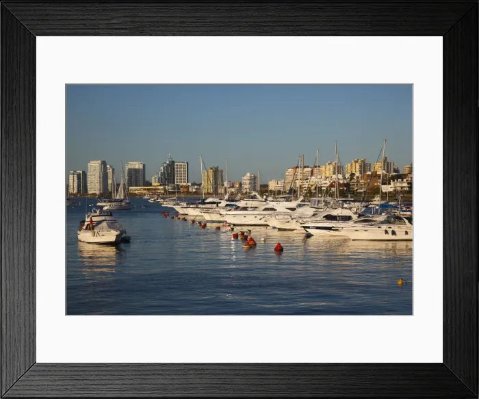 Framed Print : Uruguay, Punta del Este, yacht harbor, sunset Framed Print : Uruguay, Punta del Este, yacht harbor, sunset