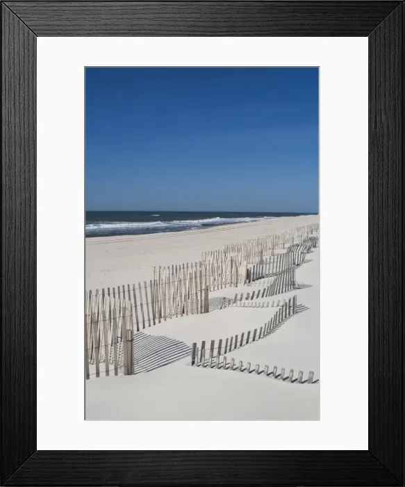 Framed Print : USA, New York, Long Island, The Hamptons, Westhampton Beach, beach erosion fence Framed Print : USA, New York, Long Island, The Hamptons, Westhampton Beach, beach erosion fence