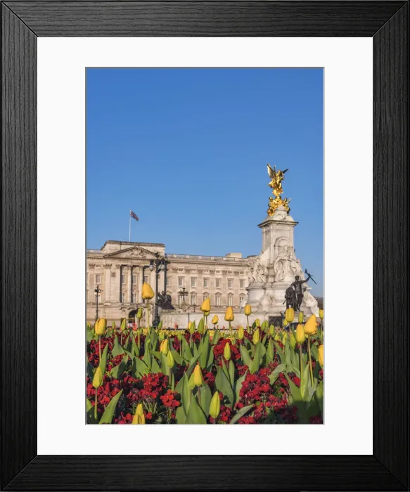 Framed Print : UK, England, London, Buckingham Palace