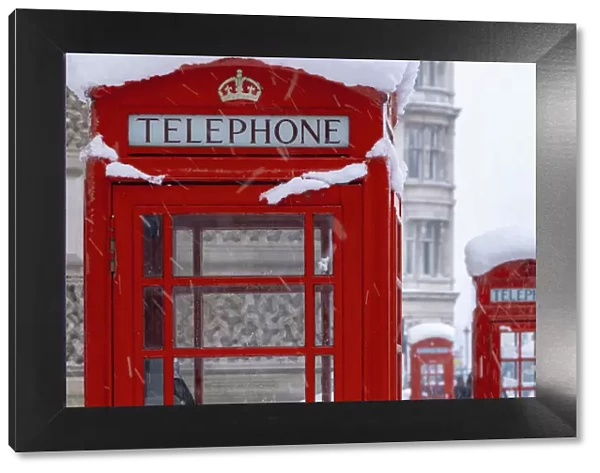 UK, England, London, Westminster, Parliament Square, Telephone Boxes