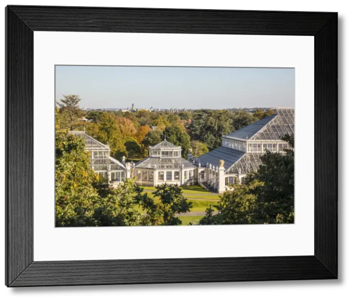 Framed Print : Temperate House, Kew Gardens (Royal Botanic Gardens), Richmond, London, England, UK Framed Print : Temperate House, Kew Gardens (Royal Botanic Gardens), Richmond, London, England, UK