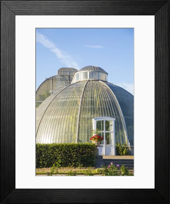 Framed Print : Palm House, Kew Gardens (Royal Botanic Gardens), Richmond, London, England, UK Framed Print : Palm House, Kew Gardens (Royal Botanic Gardens), Richmond, London, England, UK