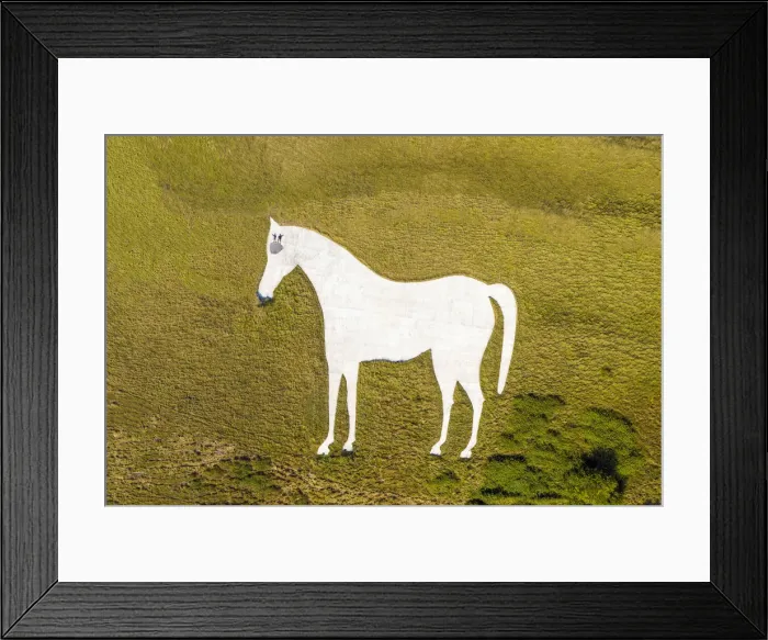 Framed Print : Aerial view of the famous White Horse below Bratton Camp, an Iron Age hillfort near Framed Print : Aerial view of the famous White Horse below Bratton Camp, an Iron Age hillfort near