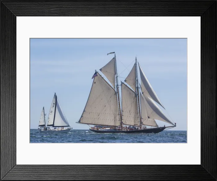 Framed Print : USA, New England, Massachusetts, Cape Ann, Gloucester, Gloucester Schooner Festival
