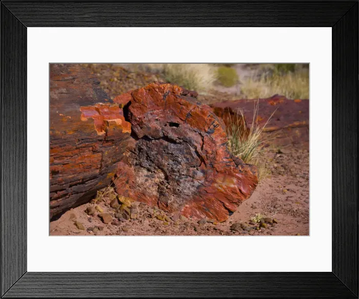 Framed Print : USA, Arizona, Petrified Forest National Park, Petrified Tree Trunks Framed Print : USA, Arizona, Petrified Forest National Park, Petrified Tree Trunks