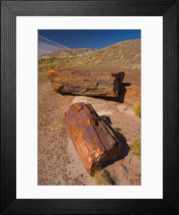 Framed Print : USA, Arizona, Petrified Forest National Park, Petrified Tree Trunks Framed Print : USA, Arizona, Petrified Forest National Park, Petrified Tree Trunks