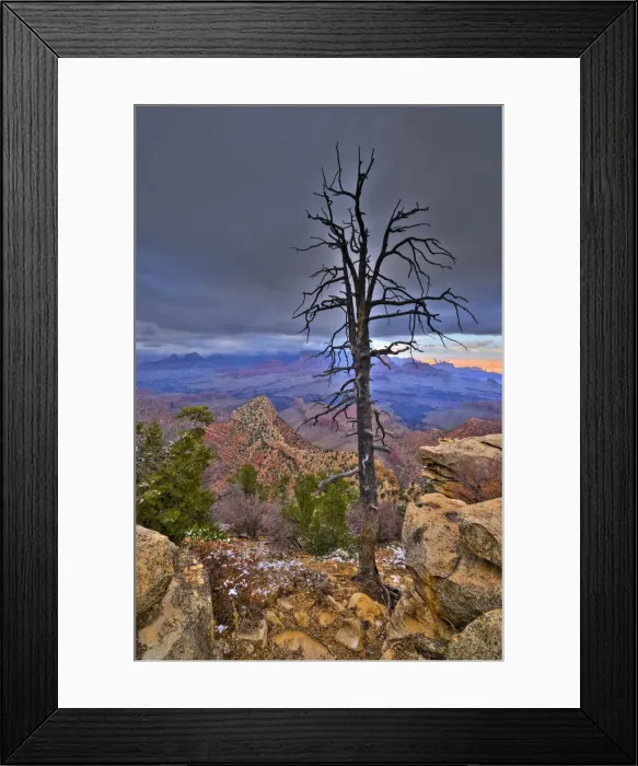 Framed Print : USA, Arizona, Grand Canyon