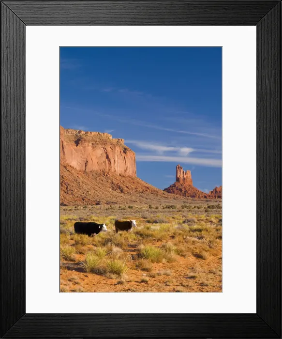 Framed Print : USA, Arizona-Utah, Monument Valley