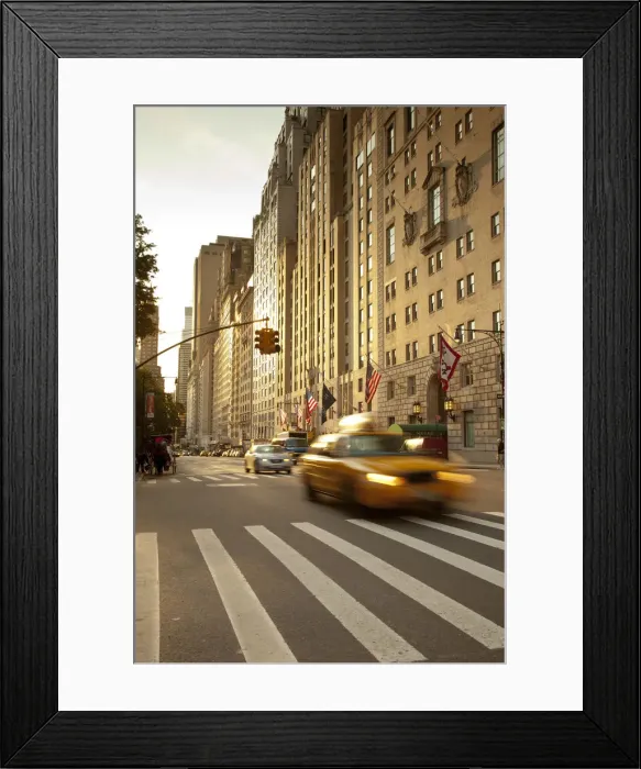 Framed Print : South Central Park, Manhattan, New York City, USA Framed Print : South Central Park, Manhattan, New York City, USA