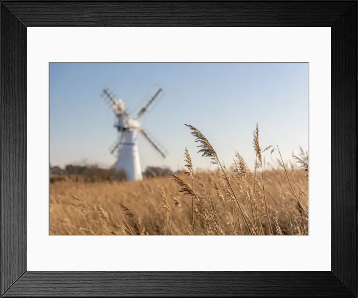 Framed Print : UK, England, East Anglia, Norfolk, Norfolk Broads, Thurne, Thurne Dyke Drainage Mill Framed Print : UK, England, East Anglia, Norfolk, Norfolk Broads, Thurne, Thurne Dyke Drainage Mill