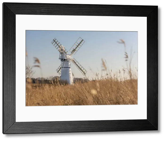 Framed Print : UK, England, East Anglia, Norfolk, Norfolk Broads, Thurne, Thurne Dyke Drainage Mill Framed Print : UK, England, East Anglia, Norfolk, Norfolk Broads, Thurne, Thurne Dyke Drainage Mill