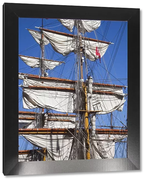 USA, Massachusetts, Boston, Sail Boston Tall Ships Festival, Dutch barque Europa