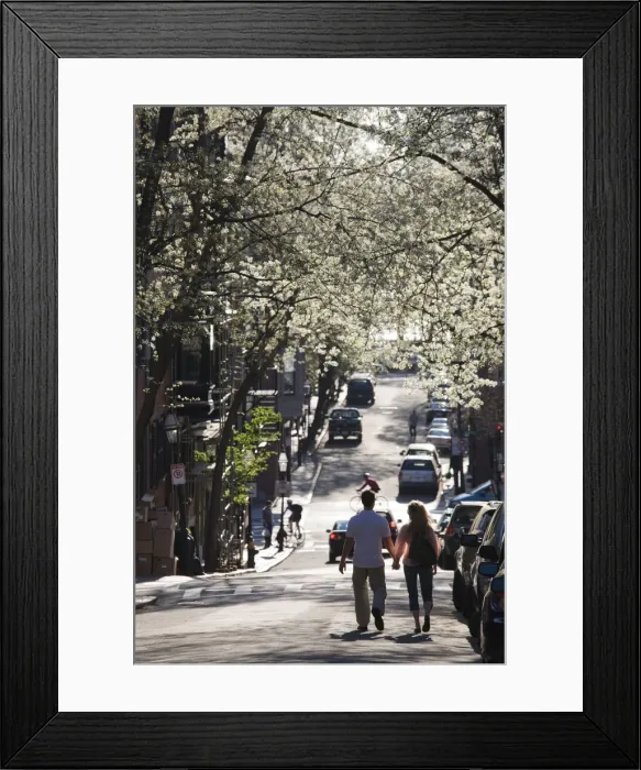 Framed Print : USA, Massachusetts, Boston, Beacon Hill, Pinckney Street Framed Print : USA, Massachusetts, Boston, Beacon Hill, Pinckney Street