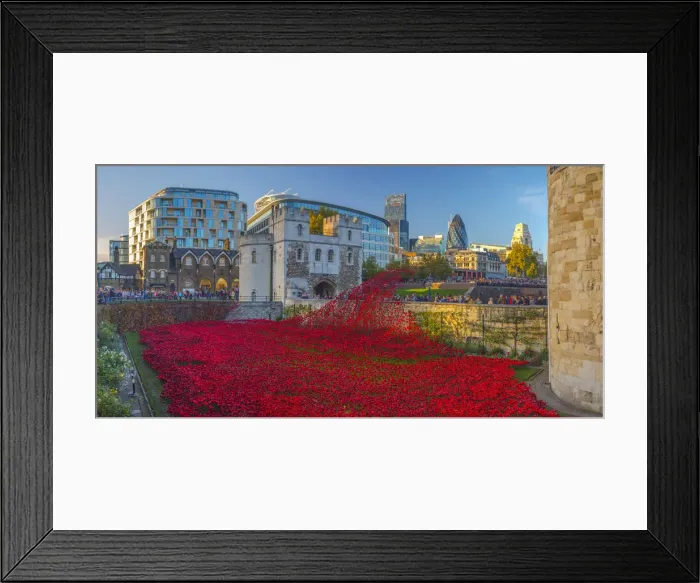 Framed Print : England, London, Tower of London, Blood Swept Lands and Seas of Red by ceramic artist