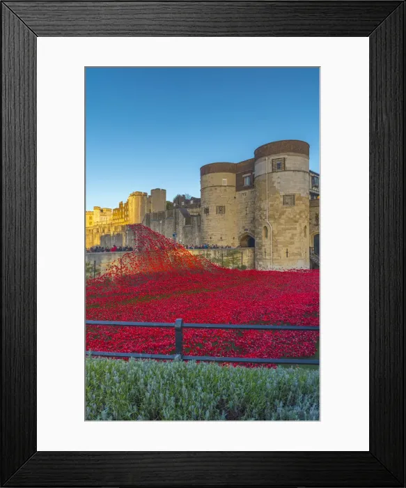 Framed Print : England, London, Tower of London, Blood Swept Lands and Seas of Red by ceramic artist
