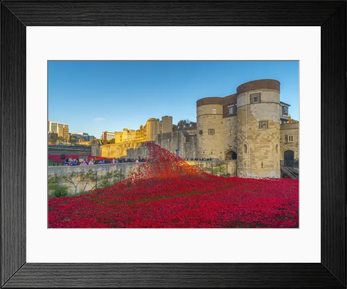 Framed Print : England, London, Tower of London, Blood Swept Lands and Seas of Red by ceramic artist Framed Print : England, London, Tower of London, Blood Swept Lands and Seas of Red by ceramic artist