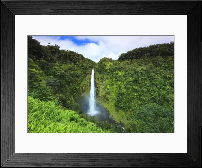 Framed Print : USA, Hawaii, The Big Island, Akaka Falls State Park Framed Print : USA, Hawaii, The Big Island, Akaka Falls State Park