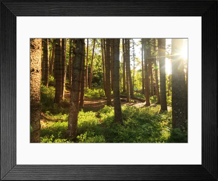 Framed Print : USA, Hawaii, Oahu, Honolulu, Puu Ualakaa State Park Framed Print : USA, Hawaii, Oahu, Honolulu, Puu Ualakaa State Park