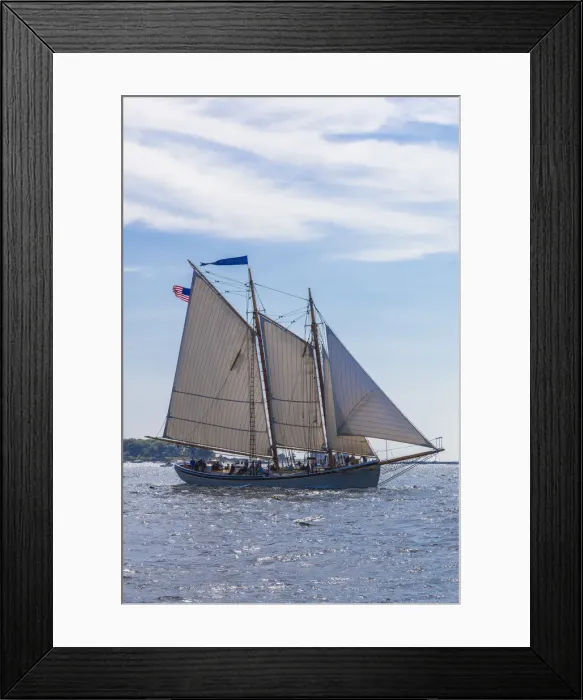 Framed Print : USA, New England, Cape Ann, Massachusetts, Gloucester, Gloucester Schooner Festival Framed Print : USA, New England, Cape Ann, Massachusetts, Gloucester, Gloucester Schooner Festival