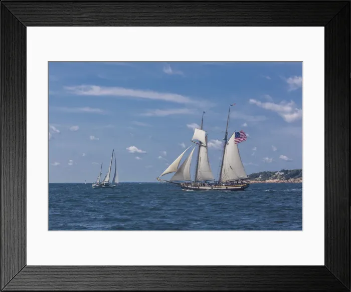 Framed Print : USA, New England, Cape Ann, Massachusetts, Gloucester, Gloucester Schooner Festival Framed Print : USA, New England, Cape Ann, Massachusetts, Gloucester, Gloucester Schooner Festival