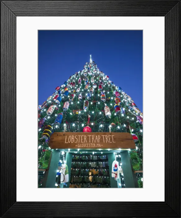 Framed Print : USA, New England, Cape Ann, Massachusetts, Gloucester, Christmas Tree made of lobster Framed Print : USA, New England, Cape Ann, Massachusetts, Gloucester, Christmas Tree made of lobster