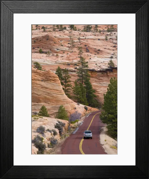 Framed Print : USA, Utah, Zion National Park Framed Print : USA, Utah, Zion National Park